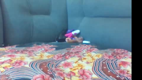 Snapshot of crystallgem chatting on March 2, 2026, 1:07 pm crystallgem online show from March 2, 2026, 1:07 pm