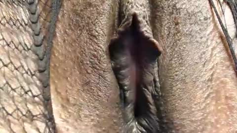 Snapshot of cuitbea chatting on February 16, 2026, 9:00 pm Nambuusi Irene online show from February 16, 2026, 9:00 pm