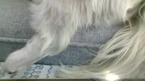 cumfestlover online show from September 14, 2025, 11:26 pm