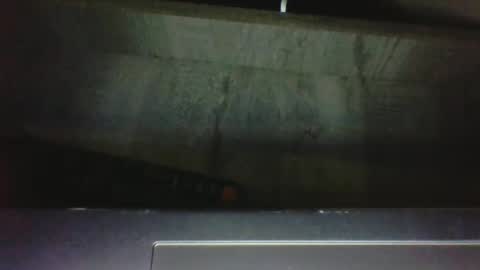 CuriousCouple303 online show from September 26, 2025, 1:31 am