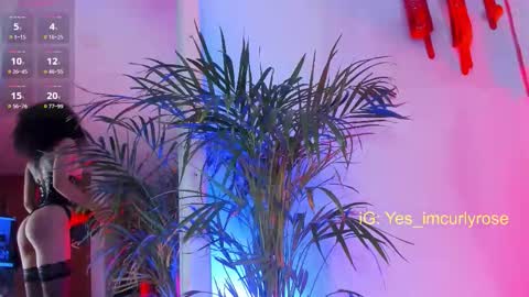 Snapshot of curlyrose_ chatting on November 22, 2025, 10:20 pm Rose online show from November 22, 2025, 10:20 pm