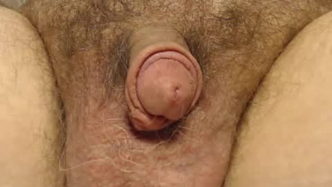 curve66 online show from February 6, 2025, 4:25 pm