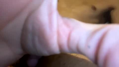 curvy24777 online show from January 19, 2025, 3:50 am