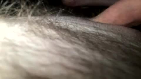 Steve online show from January 28, 2025, 4:18 am