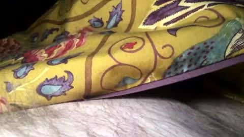 Steve online show from February 10, 2025, 11:34 pm