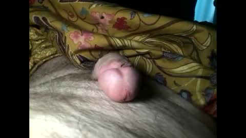 Steve online show from March 3, 2025, 7:21 am