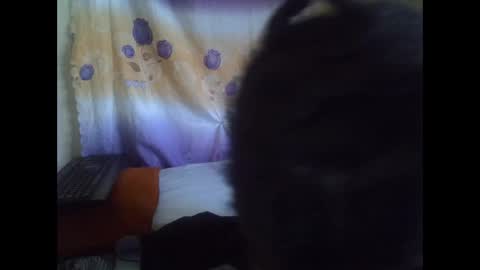 cute_leylah online show from May 15, 2026, 7:04 am