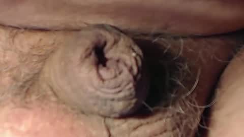 Snapshot of cute_stud1010 chatting on February 22, 2026, 3:10 pm cute_stud1010 online show from February 22, 2026, 3:10 pm