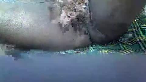 daddy online show from November 16, 2025, 1:39 pm