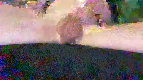 Snapshot of cwaddle chatting on January 10, 2025, 3:48 pm cwaddle online show from January 10, 2025, 3:48 pm