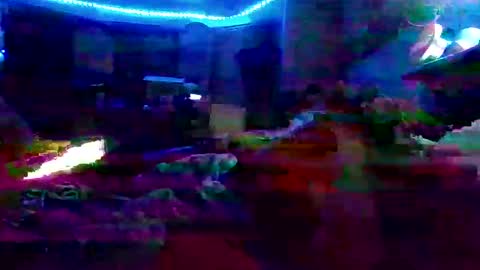 dabangaz4life online show from December 7, 2024, 8:44 am