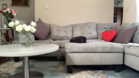 Belle  Email daddydaycarecb  online show from February 22, 2026, 5:55 pm