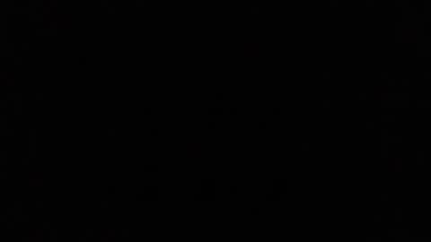 Ray Stevens Jr online show from December 23, 2024, 9:16 am