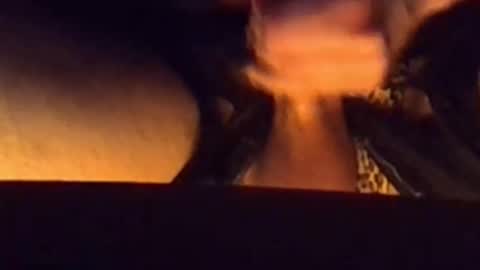 daddypervbuttprincess online show from February 26, 2026, 5:56 pm