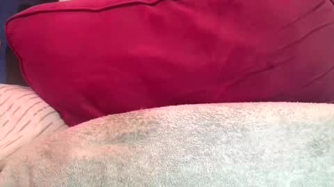 daddyy008 online show from September 10, 2025, 9:48 pm