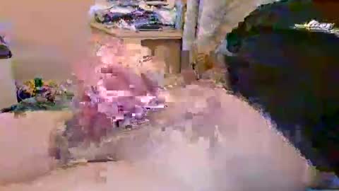 dafo1980 online show from April 23, 2026, 10:14 am
