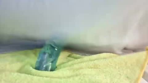 daileyrobert15 online show from May 2, 2026, 7:41 pm