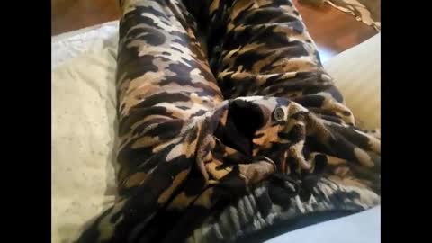 DailyJerker84 online show from November 23, 2025, 5:46 pm