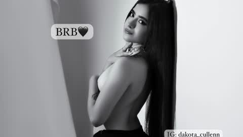 Snapshot of dakota_cullenn chatting on January 6, 2026, 10:56 pm Dako online show from January 6, 2026, 10:56 pm