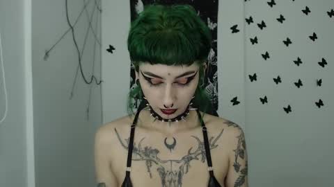 dakota online show from December 7, 2024, 2:42 am