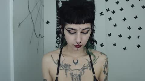 dakota online show from January 14, 2025, 10:48 am