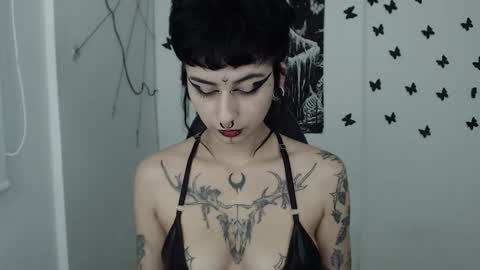 dakota online show from January 31, 2025, 8:01 am