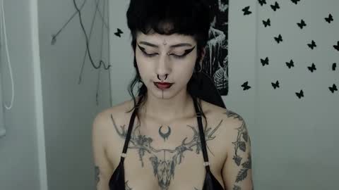 dakota online show from February 15, 2025, 5:51 am