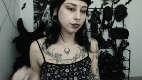 Snapshot of dakota_krall_ chatting on May 15, 2026, 2:40 am dakota online show from May 15, 2026, 2:40 am
