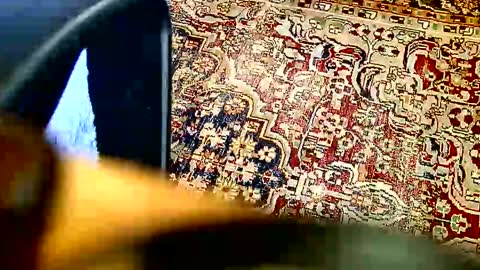 Dammerl online show from April 9, 2026, 7:03 am