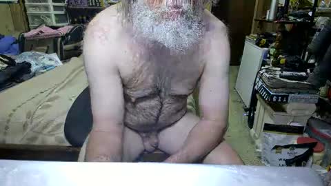 Dana online show from April 19, 2026, 2:49 pm