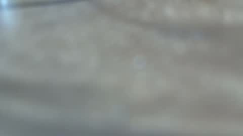 Snapshot of dancewhenyoucan9 chatting on December 22, 2025, 10:51 pm dancewhenyoucan9 online show from December 22, 2025, 10:51 pm