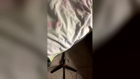 danger_yummy online show from April 21, 2026, 5:36 am