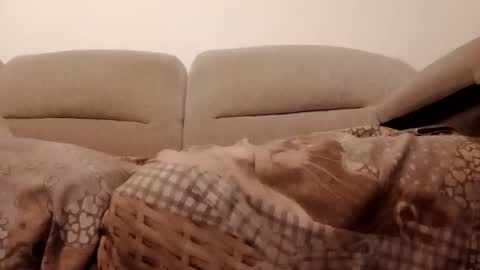 Snapshot of dani225812 chatting on November 15, 2025, 7:21 pm Dani225812 online show from November 15, 2025, 7:21 pm