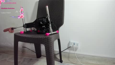 DANI online show from January 13, 2025, 1:28 pm