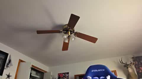 Snapshot of danielp_mod_cb chatting on October 22, 2025, 11:15 pm Daniel    y. online show from October 22, 2025, 11:15 pm