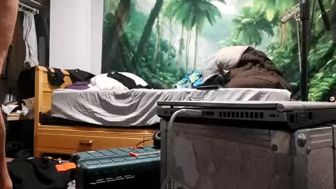 danimal5000 online show from September 17, 2025, 3:19 am