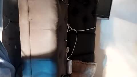 Snapshot of dankshepp chatting on September 15, 2025, 6:19 pm dandeb online show from September 15, 2025, 6:19 pm