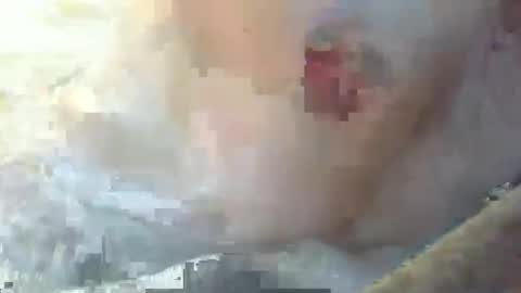 dankz4two0 online show from January 11, 2025, 3:09 pm