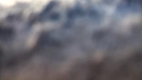 dannowisc online show from February 17, 2026, 2:52 am