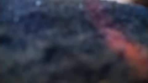 dannowisc online show from February 20, 2026, 4:09 am