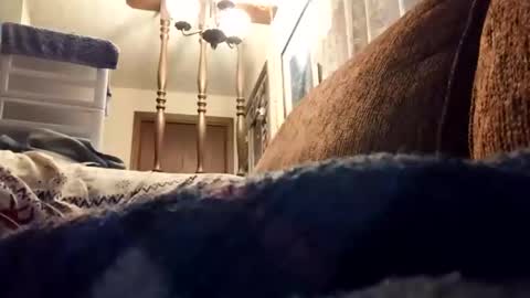 dannowisc online show from April 17, 2026, 11:02 am