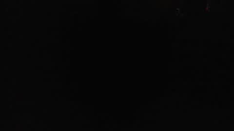 Danielle online show from February 1, 2026, 11:31 am