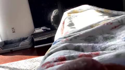 dannyboy621 online show from November 6, 2025, 1:56 pm