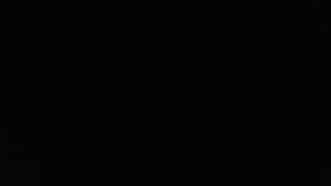 dantehellsingx online show from November 29, 2025, 2:25 am