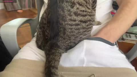 Snapshot of danteslife chatting on January 24, 2025, 5:53 pm Dante online show from January 24, 2025, 5:53 pm