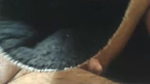 dapppper online show from March 11, 2026, 10:21 am