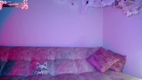 Snapshot of dark__nymph chatting on October 30, 2025, 11:44 am Dark online show from October 30, 2025, 11:44 am