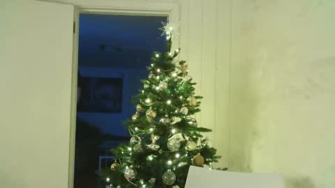 Dario online show from December 25, 2024, 7:56 pm