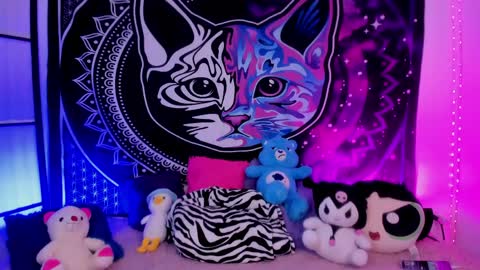 daryimiau online show from April 20, 2026, 4:37 am