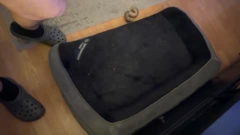 Datguy127 online show from February 18, 2025, 5:09 am